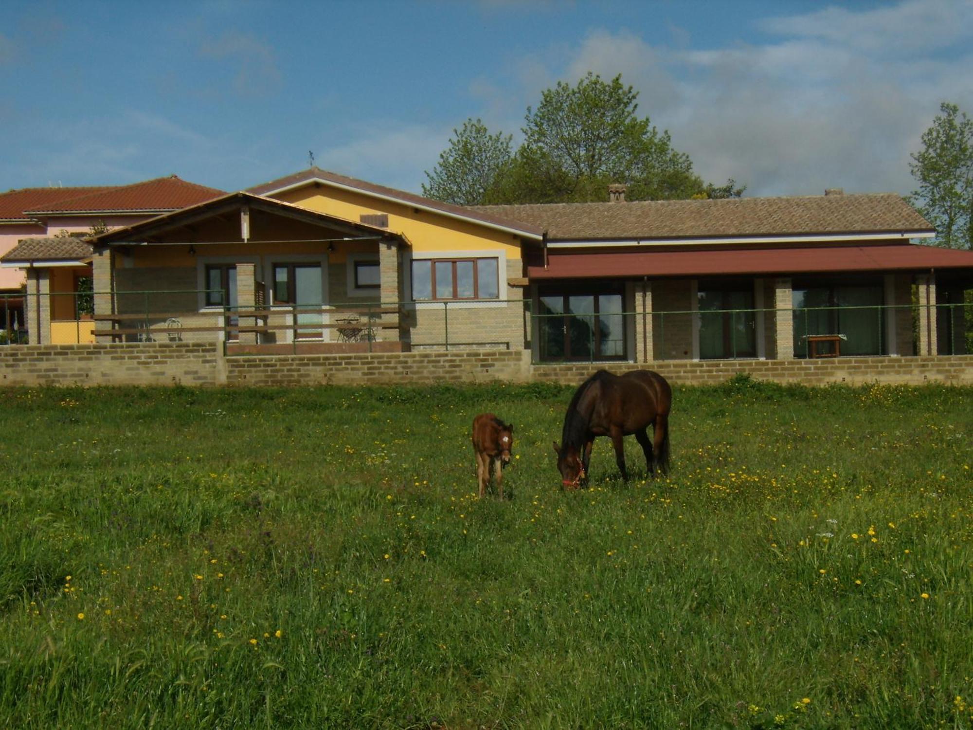 Agriturismo L.B.STUD Bracciano  Exterior foto